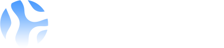 PrimeVivision Technology